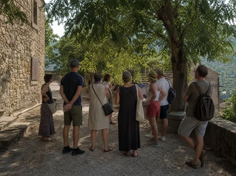A small group listening to a guide on a shaded path